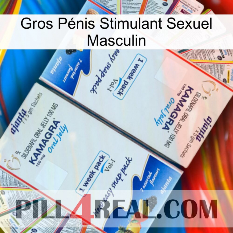 Gros Pénis Stimulant Sexuel Masculin kamagra1